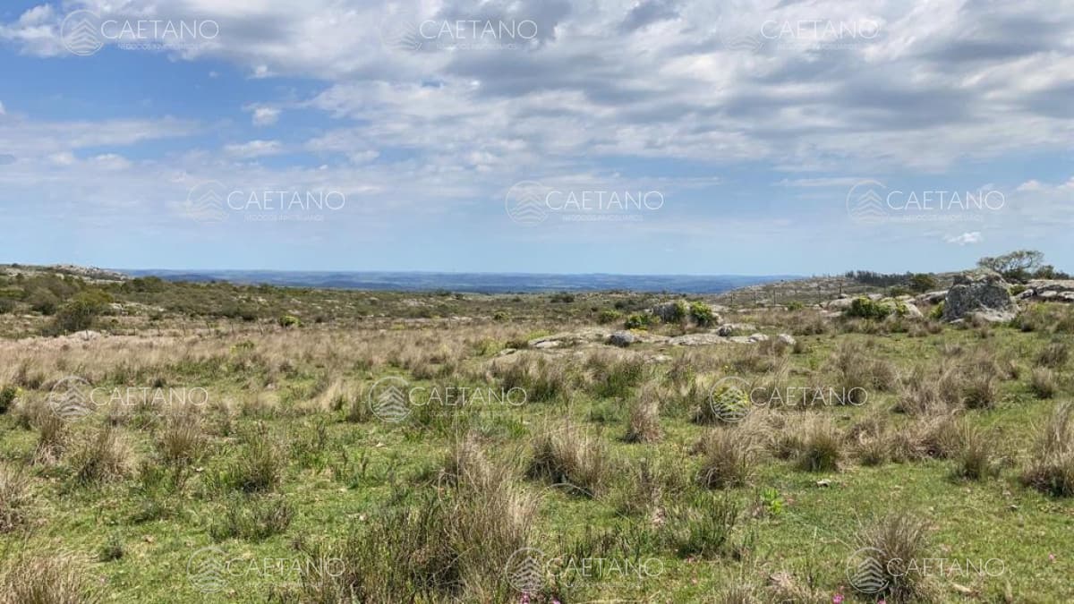 VENTA DE CAMPO PRÓXIMO AIGUA 5 HAS — foto 3