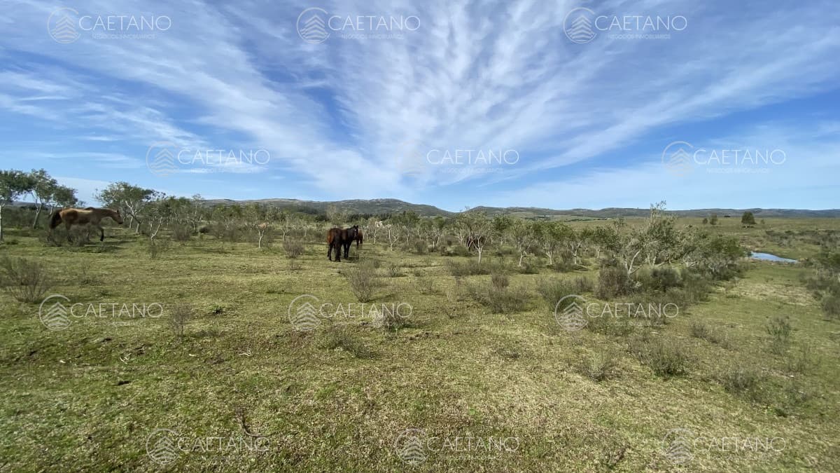 Oportunidad en Paraje Las Cañas !!! — foto 3