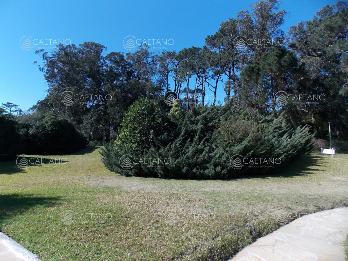 MUY BUENA CASA UBICADA EN EL CORAZÓN DEL BARRIO DEL GOLF — foto 3