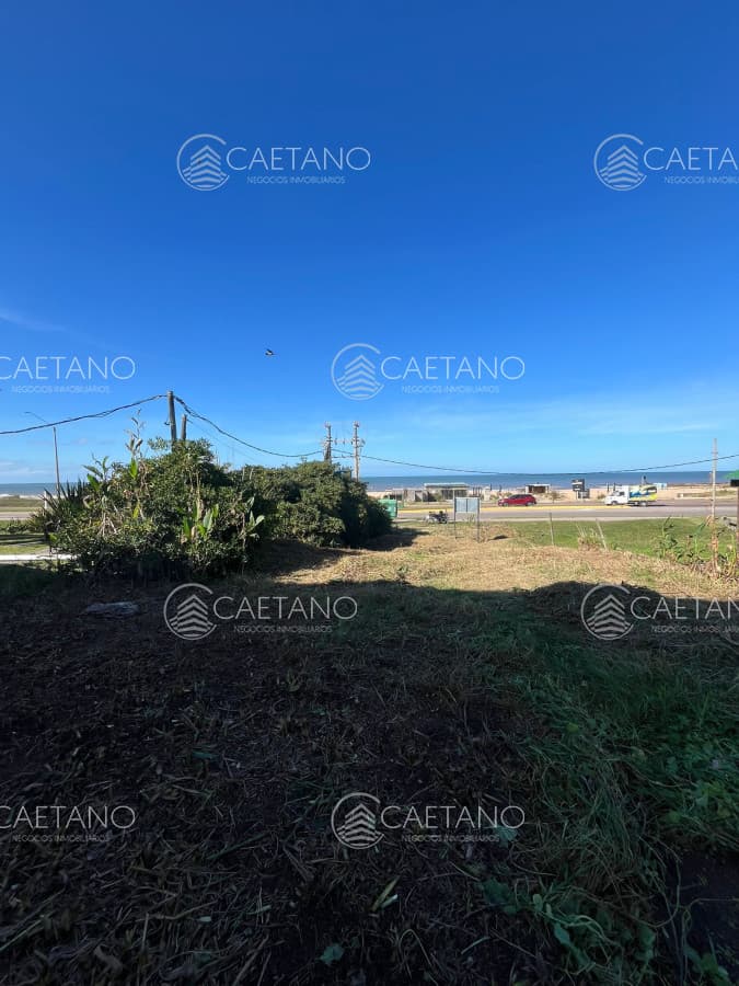 Terreno en Montoya — foto 2