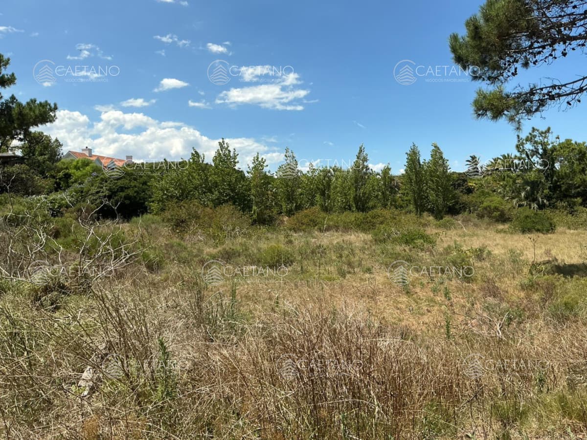 BRAVA - EXCEPCIONAL LOTE A 150 MTS DEL MAR — foto 3