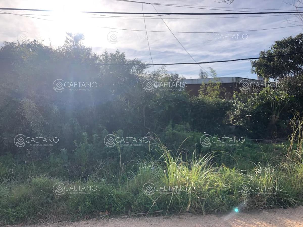 Venta terreno en El Chorro — foto 3