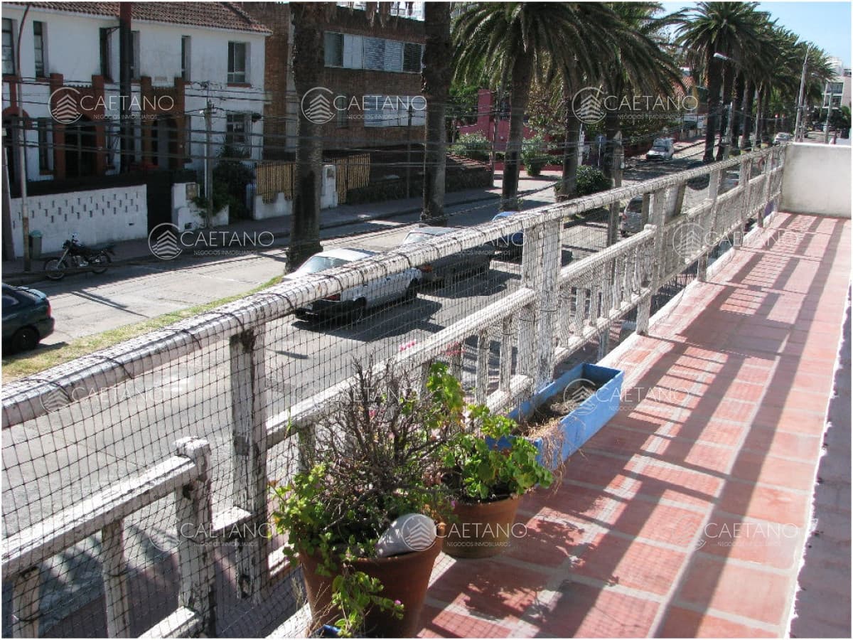 Casa en venta y alquiler anual en Punta del Este, Península. A pasos del Puerto — foto 3