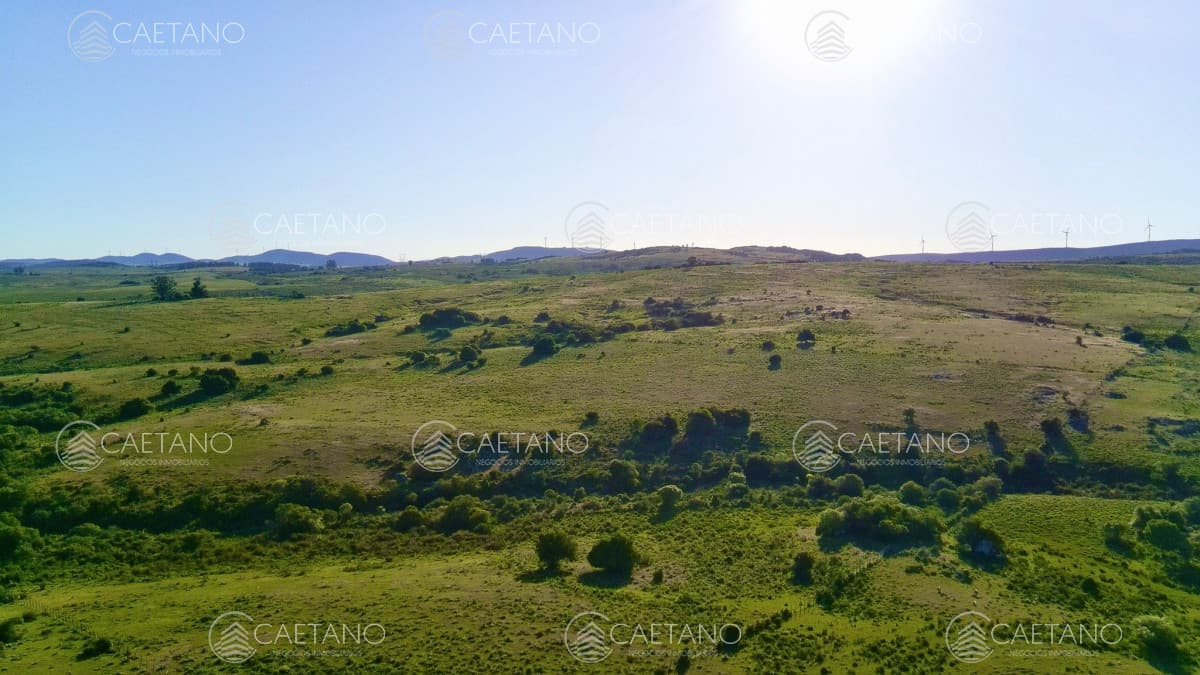 RUTA 39, a 47 km de Punta del Este, venta de  campo ganadero, muy panorámico y con cañadas. — foto 2