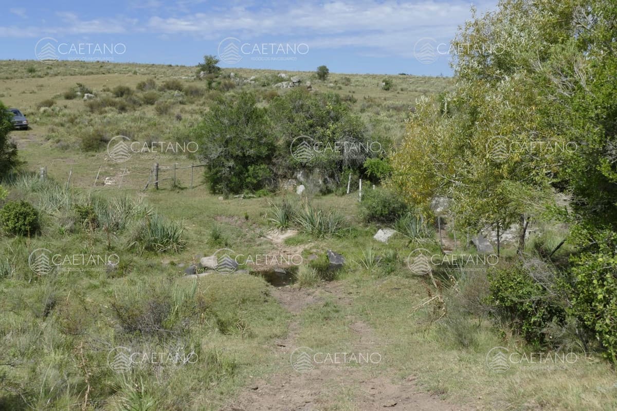 RUTA 39, a 47 km de Punta del Este, venta de  campo ganadero, muy panorámico y con cañadas.