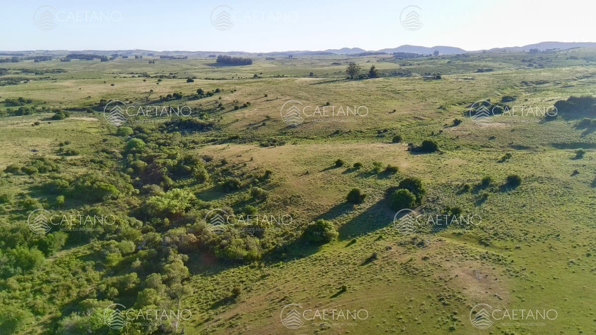 RUTA 39, a 47 km de Punta del Este, venta de  campo ganadero, muy panorámico y con cañadas. — foto 3