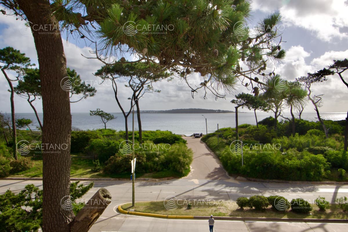 Apartamento de dos dormitorios con vista al mar en Playa Mansa — foto 3