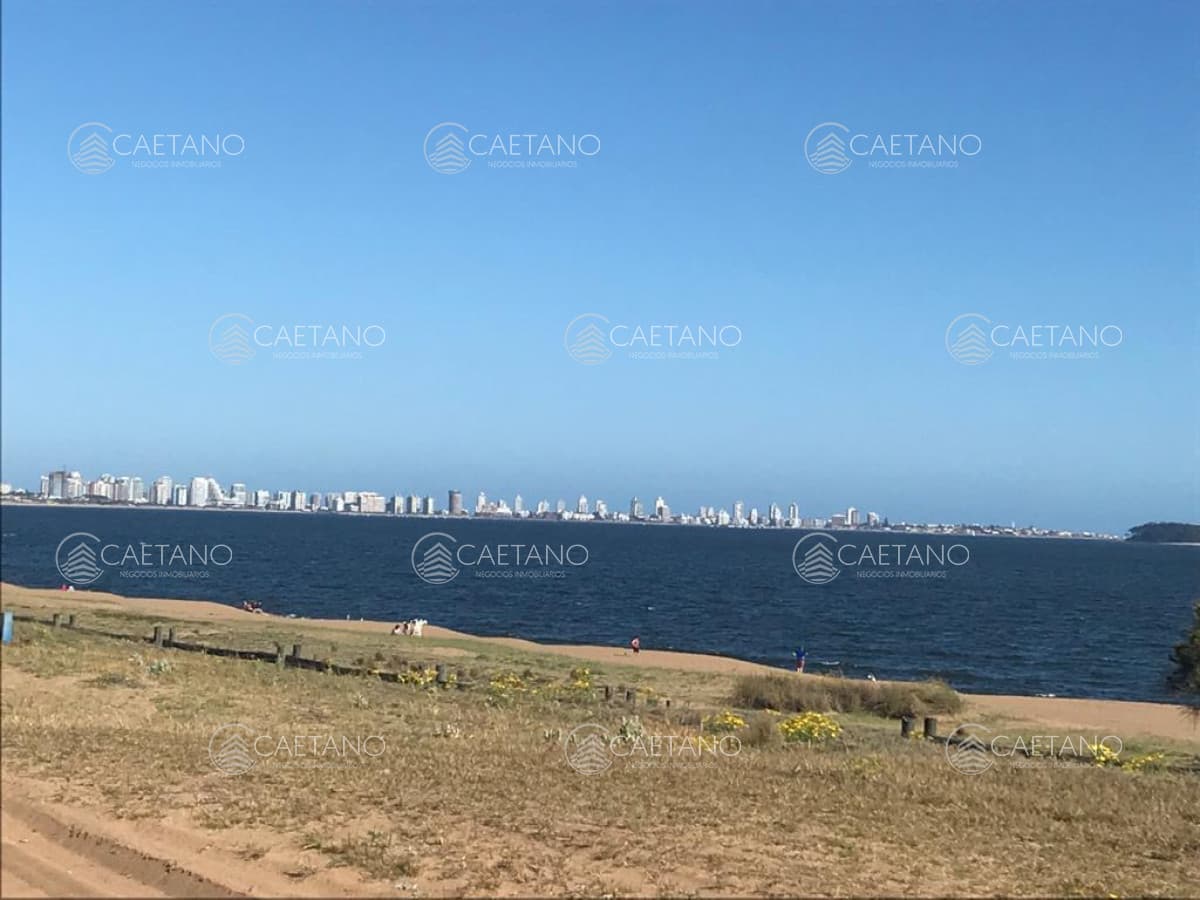 Apartamento en alquiler en Punta del Este