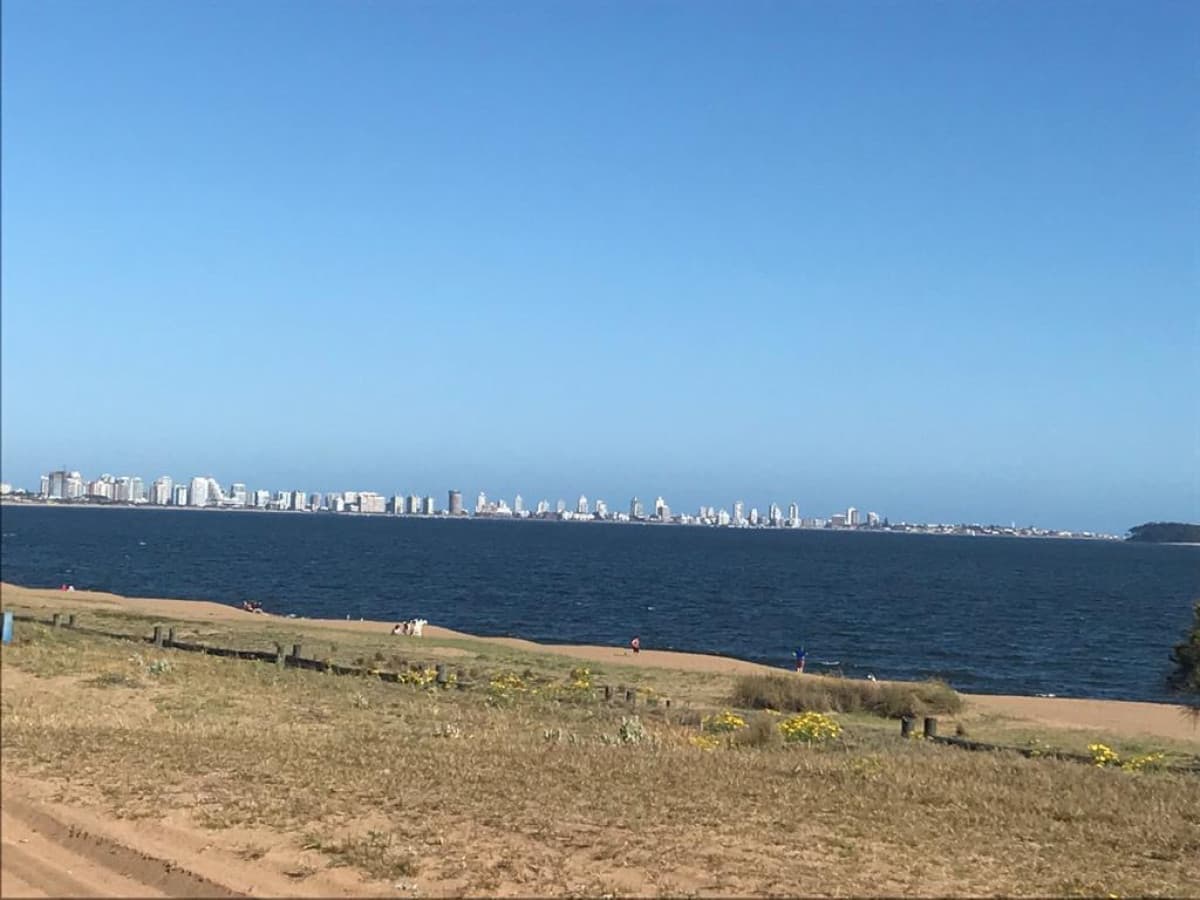Apartamento en alquiler en Punta del Este