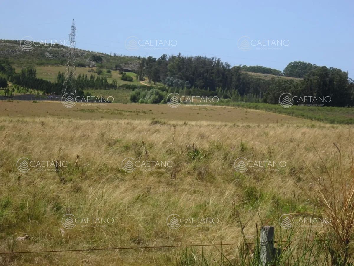 Lote en venta en Cerro Eguzquiza, Ideal para barrio privado e inversionistas. — foto 2