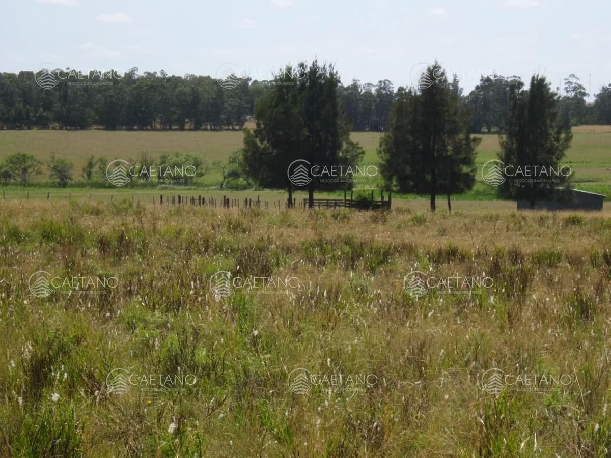 Lote en venta en Cerro Eguzquiza, Ideal para barrio privado e inversionistas. — foto 3
