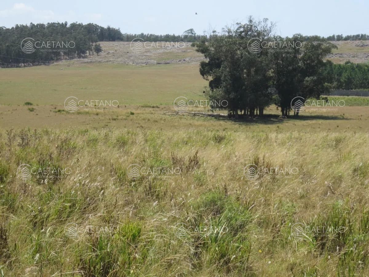 Lote en venta en Cerro Eguzquiza, Ideal para barrio privado e inversionistas.