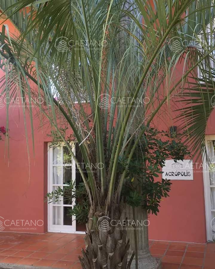 Casa en alquiler en La Barra