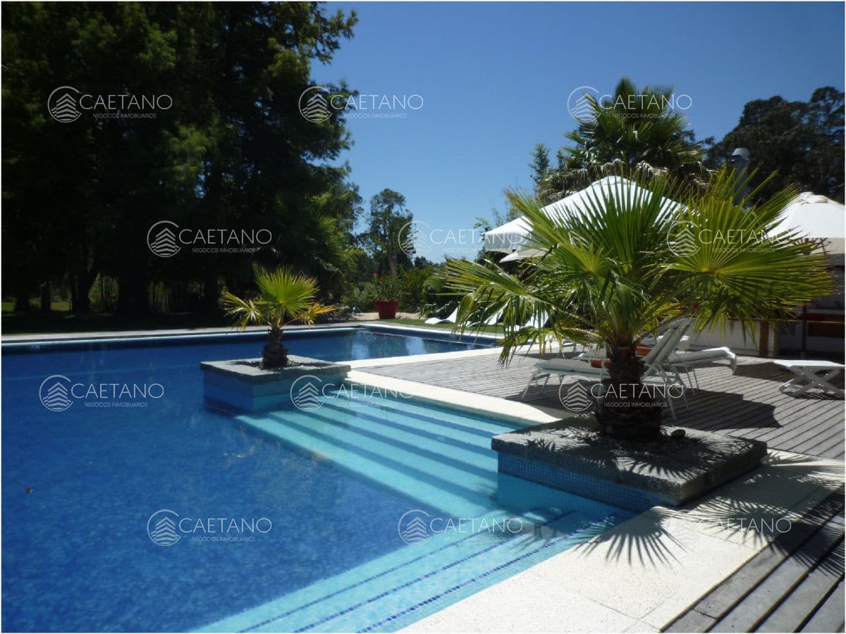Casa en alquiler en Punta del Este — foto 2