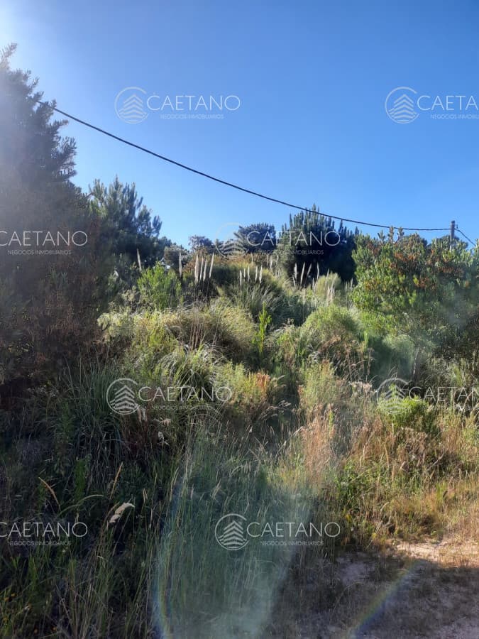 Lote alto en La Barra — foto 3