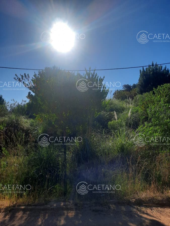 Lote alto en La Barra