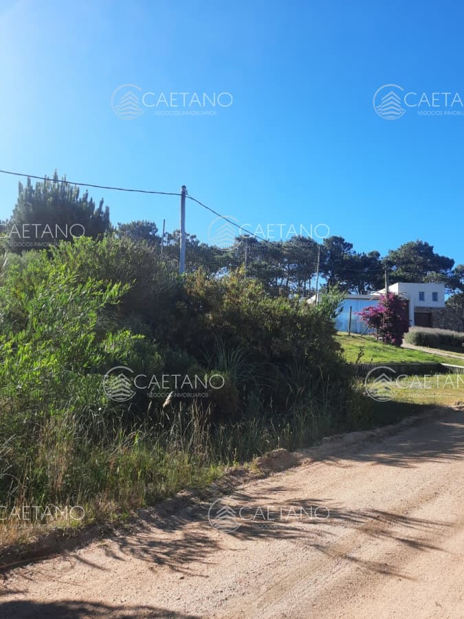 Lote alto en La Barra — foto 2