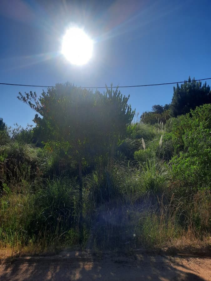 Lote alto en La Barra
