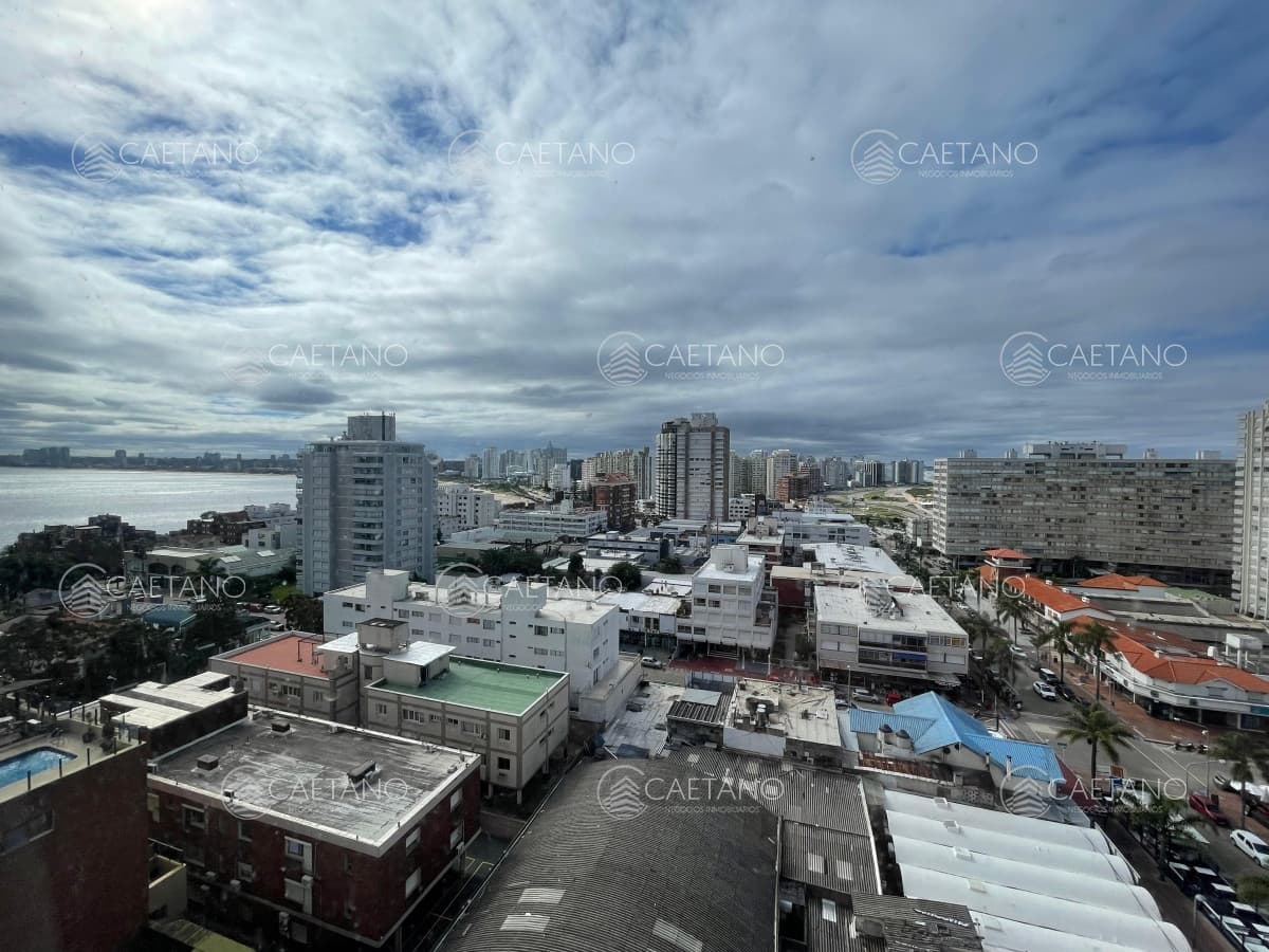 APARTAMENTO 3 DORMITORIOS PISO ALTO PENÍNSULA