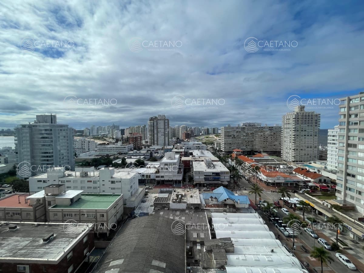APARTAMENTO 3 DORMITORIOS PISO ALTO PENÍNSULA — foto 2