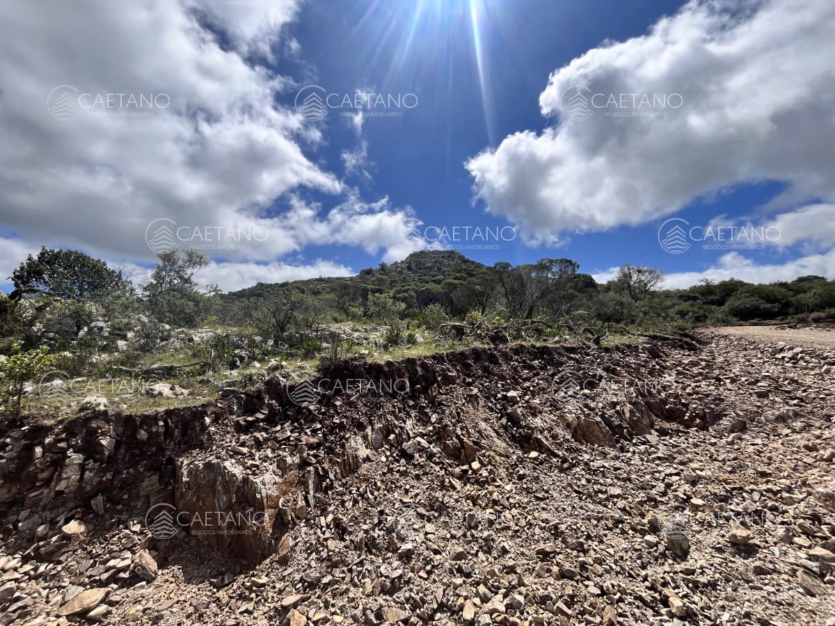 Venta chacra 3 ha proximo ruta 39 San Carlos Maldonado — foto 3