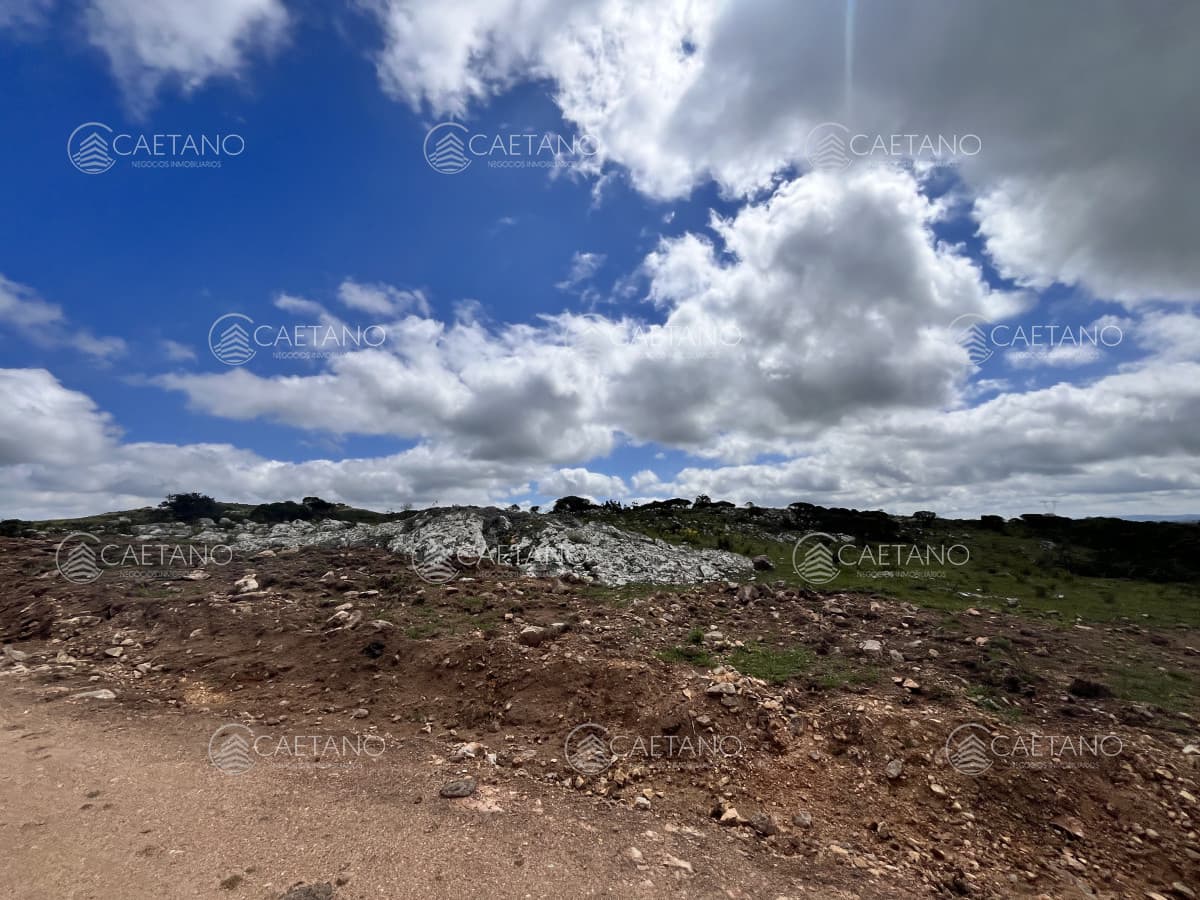 Venta chacra 3 ha proximo ruta 39 San Carlos Maldonado — foto 2