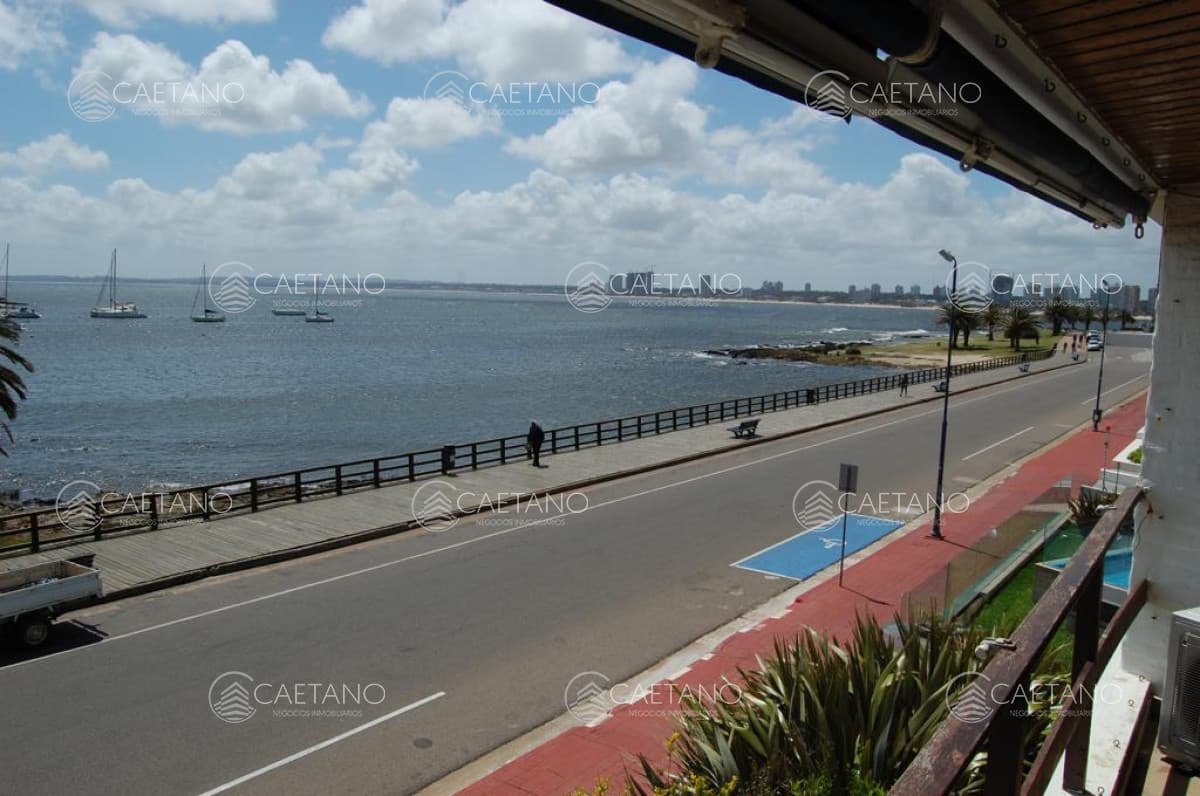 Apartamento en alquiler en Punta del Este