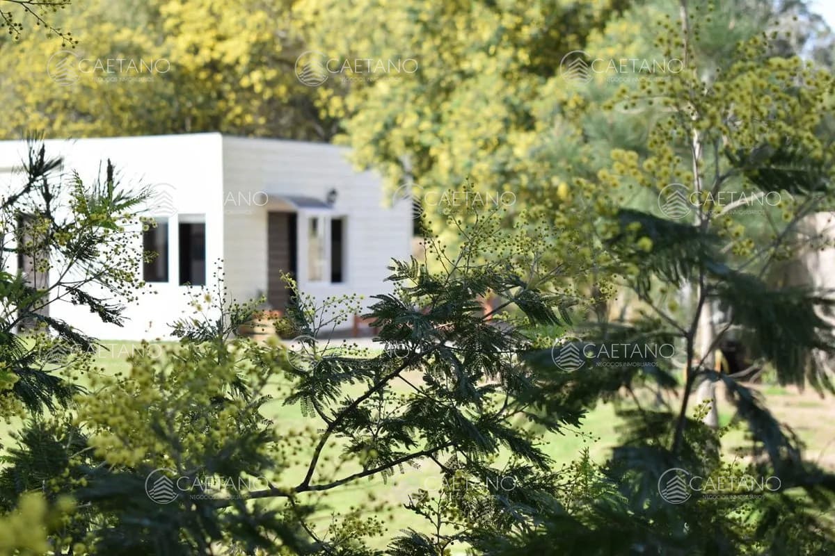 Casa en venta en Punta del Este