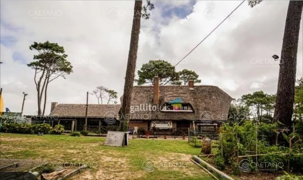 Venta Casa Punta Del Este, Jardines De Cordoba — foto 2