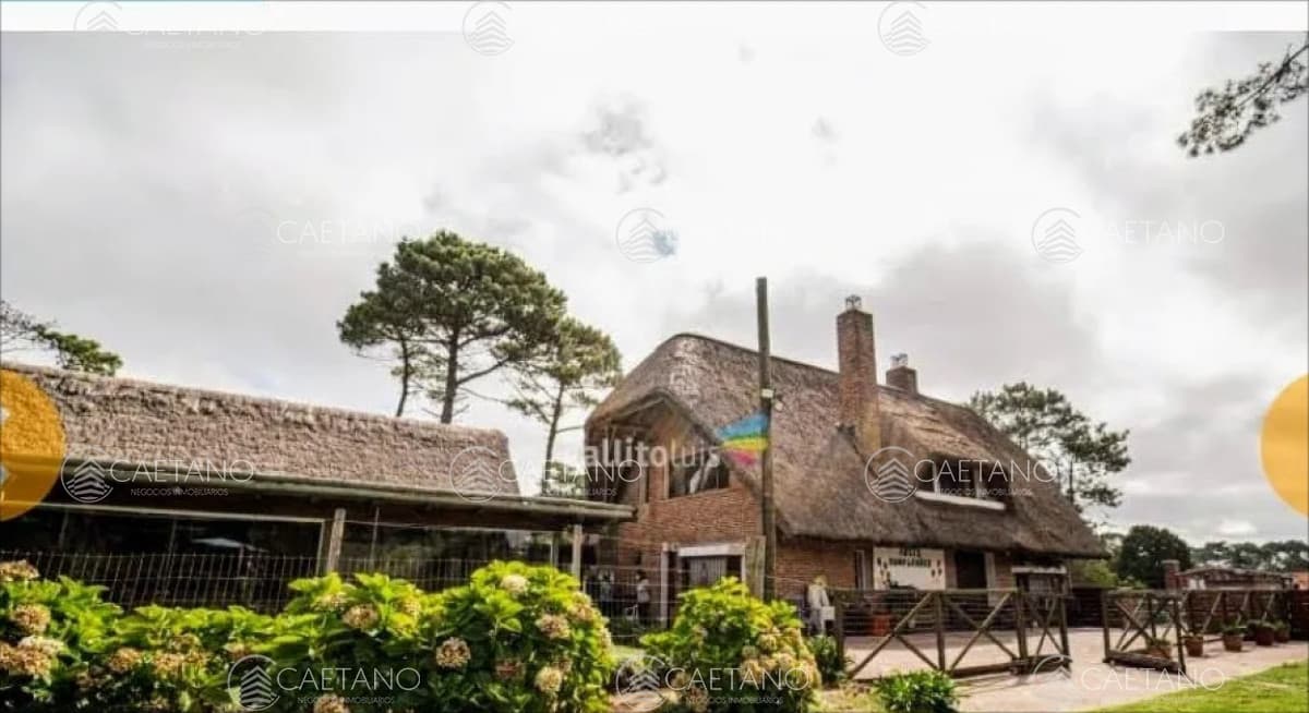 Venta Casa Punta Del Este, Jardines De Cordoba — foto 3