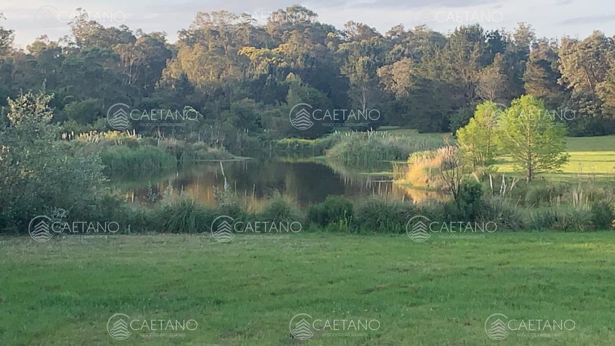 Venta chacra 10 hectáreas La barra, Maldonado — foto 2