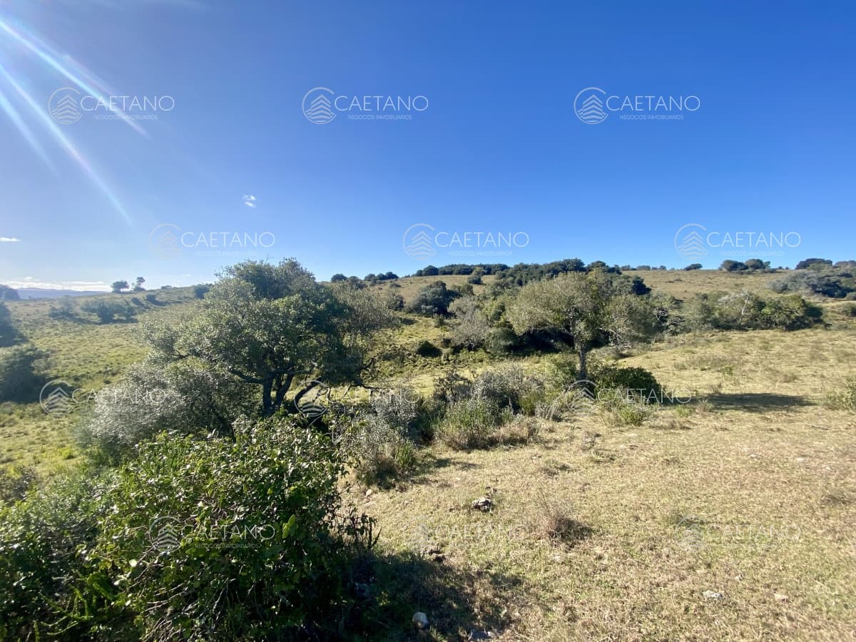 Venta chacra 5 hectáreas. Maldonado