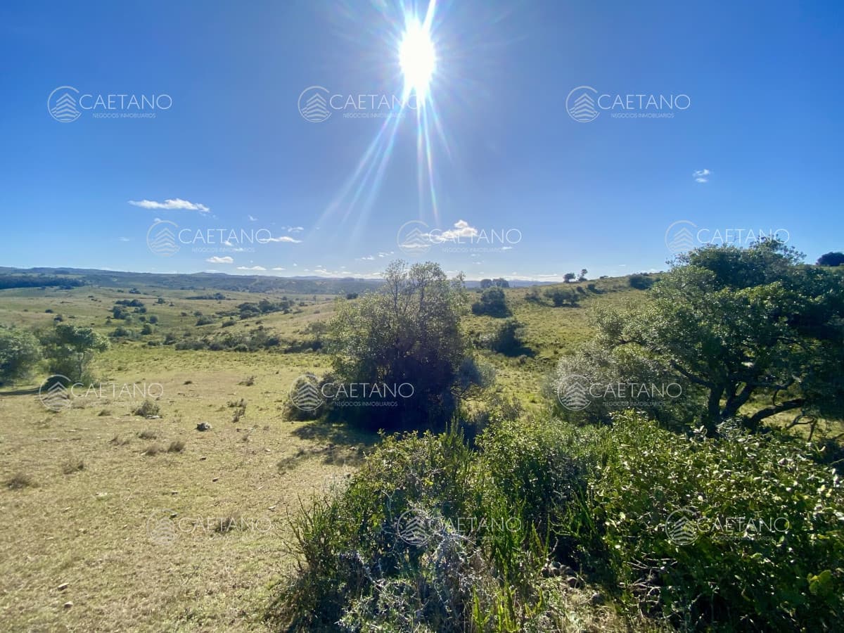 Venta chacra 5 hectáreas. Maldonado — foto 3