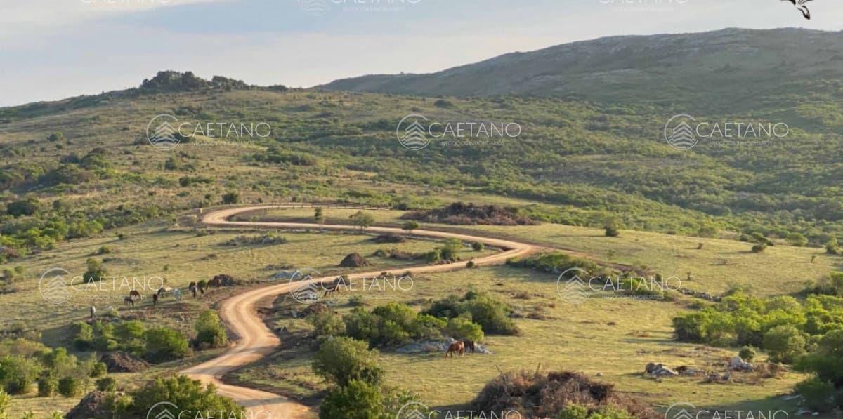 Venta chacra 5 hectáreas. Ruta 12 Maldonado.
