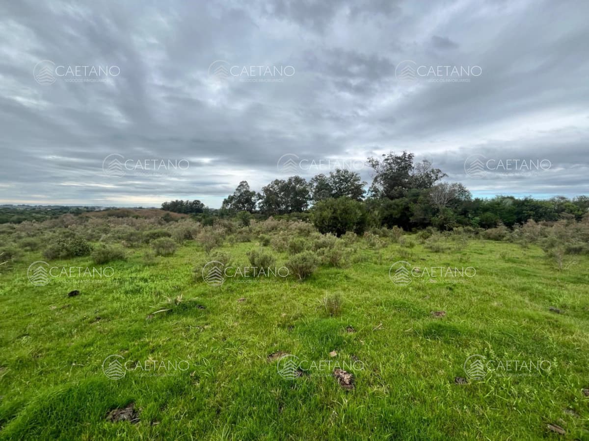 Venta de chacras de 3 has en camino de Los Ceibos. Maldonado. — foto 3