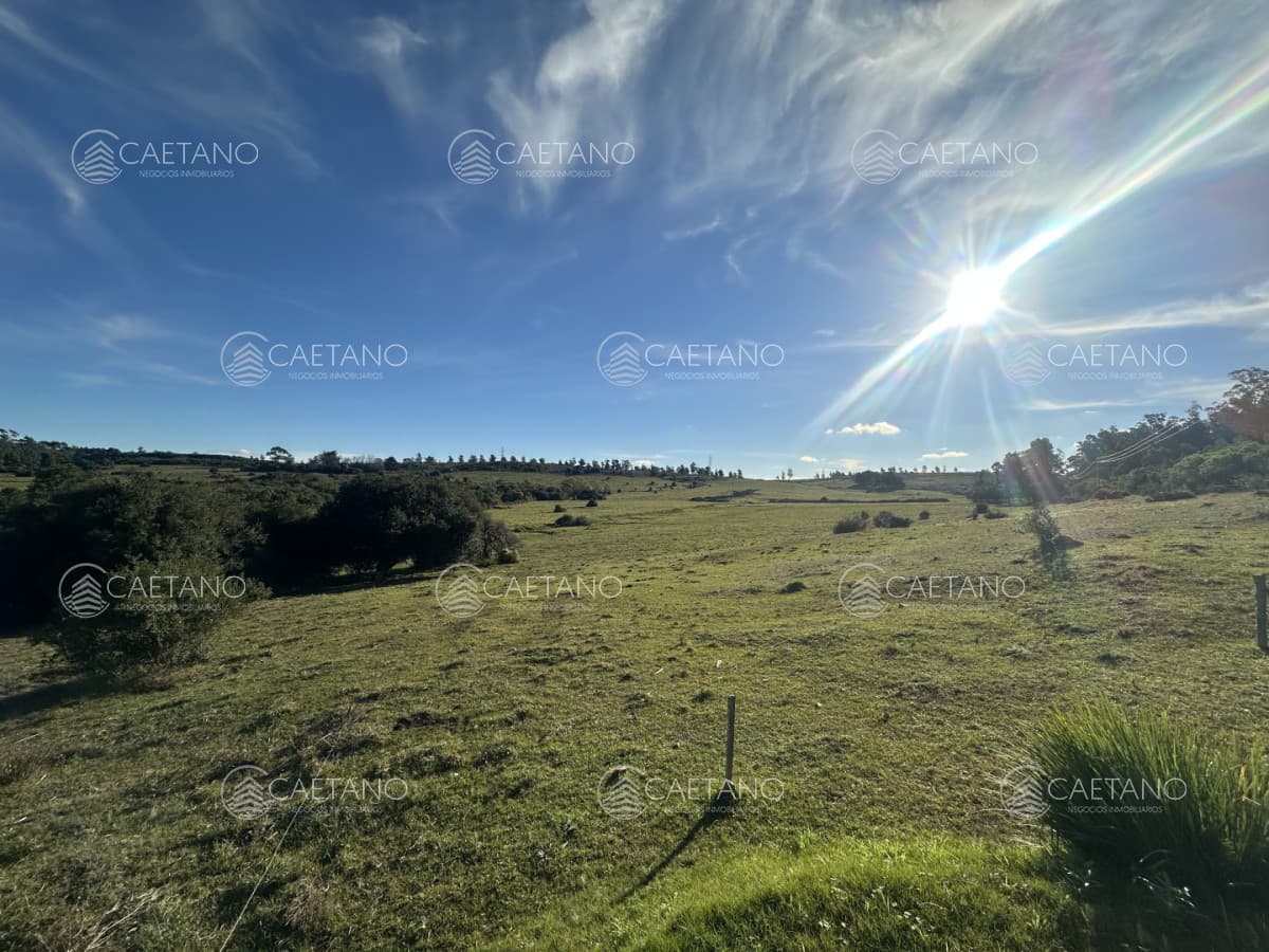 venta chacra 3 hectáreas Punta Ballena. — foto 2