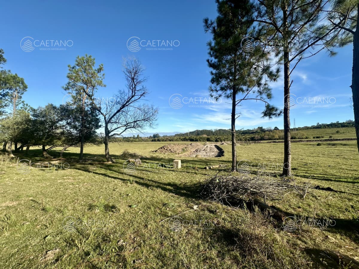 Venta Chacra la Pataia, Punta Ballena. — foto 2