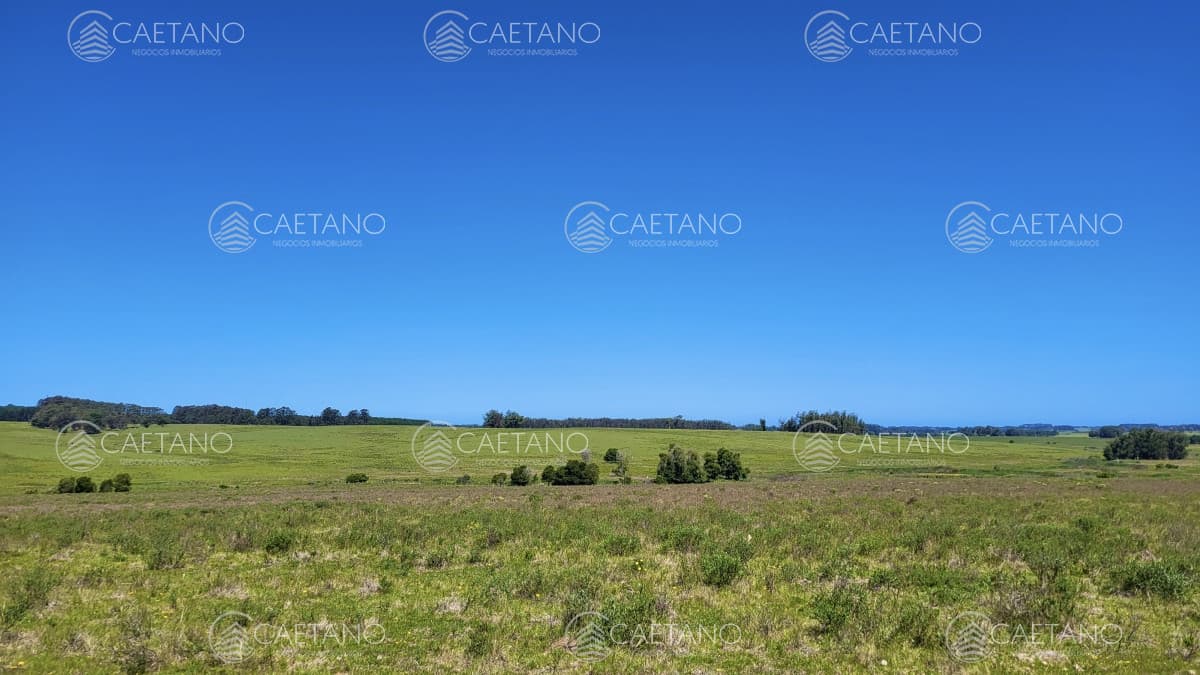 Venta chacra Jose Ignacio con costa Arroyo Anastasio — foto 2