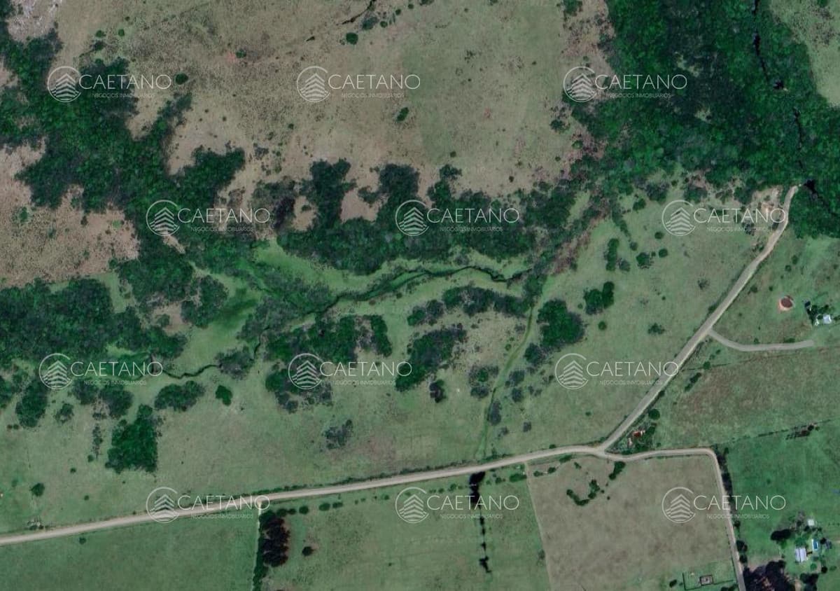 Venta chacra 26 hectáreas. Pueblo Edén. Maldonado.