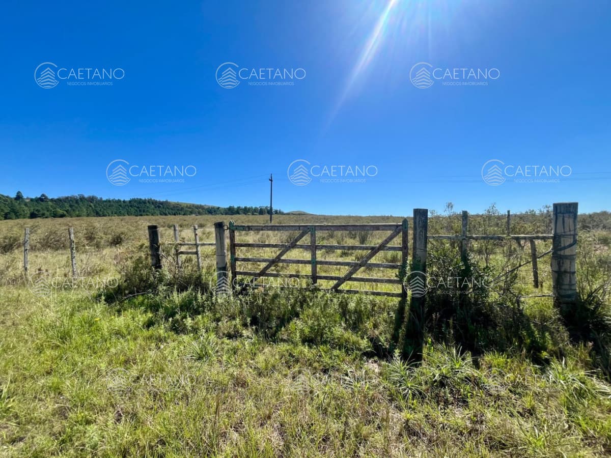 CHACRA EN VENTA LA PATAIA 10 HECTAREAS — foto 2