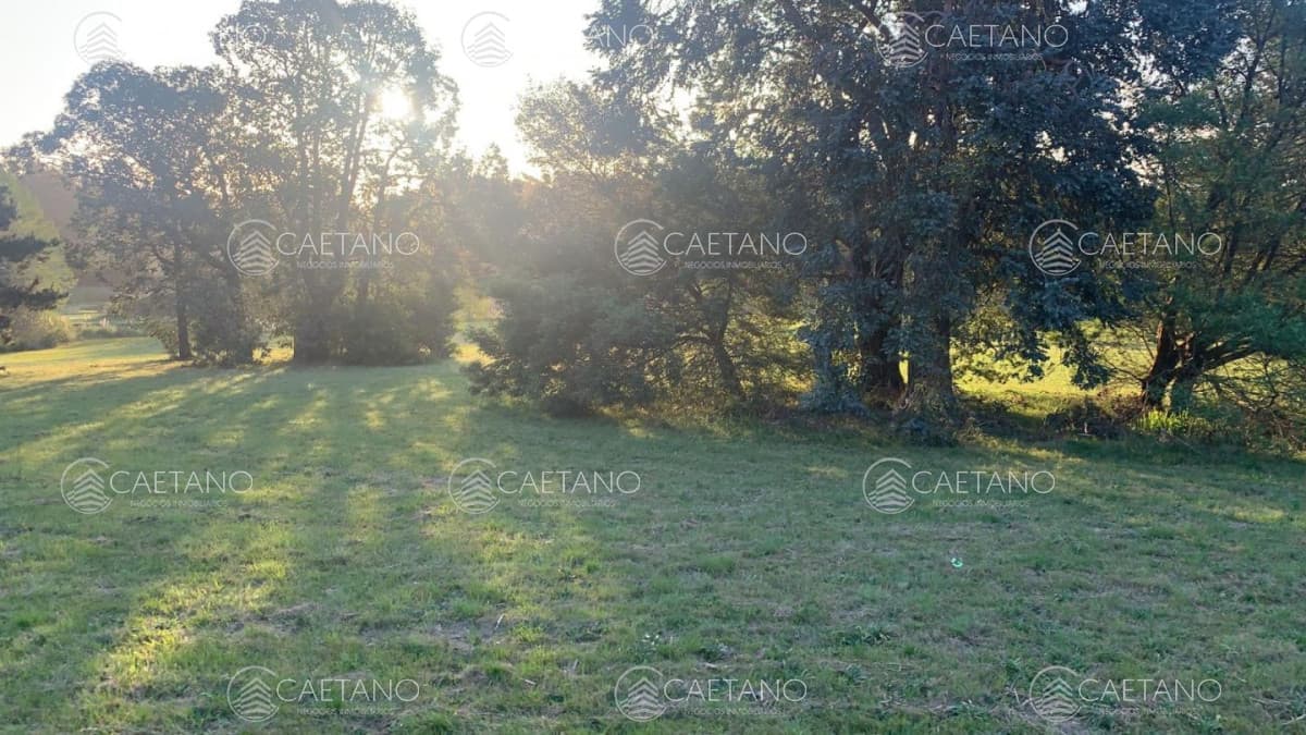 Venta chacra 10 hectáreas La barra, Maldonado — foto 3