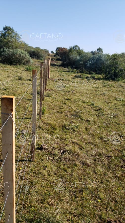 Chacra en venta en Aigua — foto 3