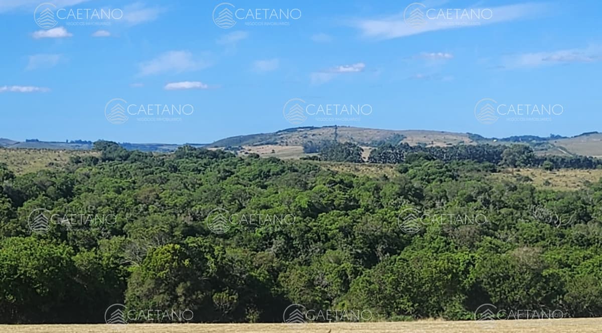 Chacra en venta en Pueblo Eden — foto 3