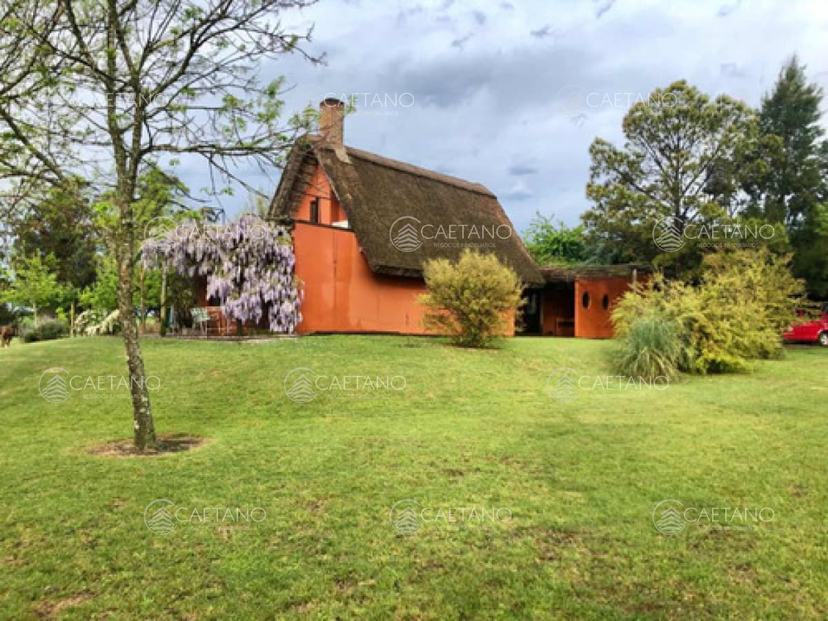 Venta Chacra 5 Hectáreas. Nueva Helvecia, Colonia — foto 2