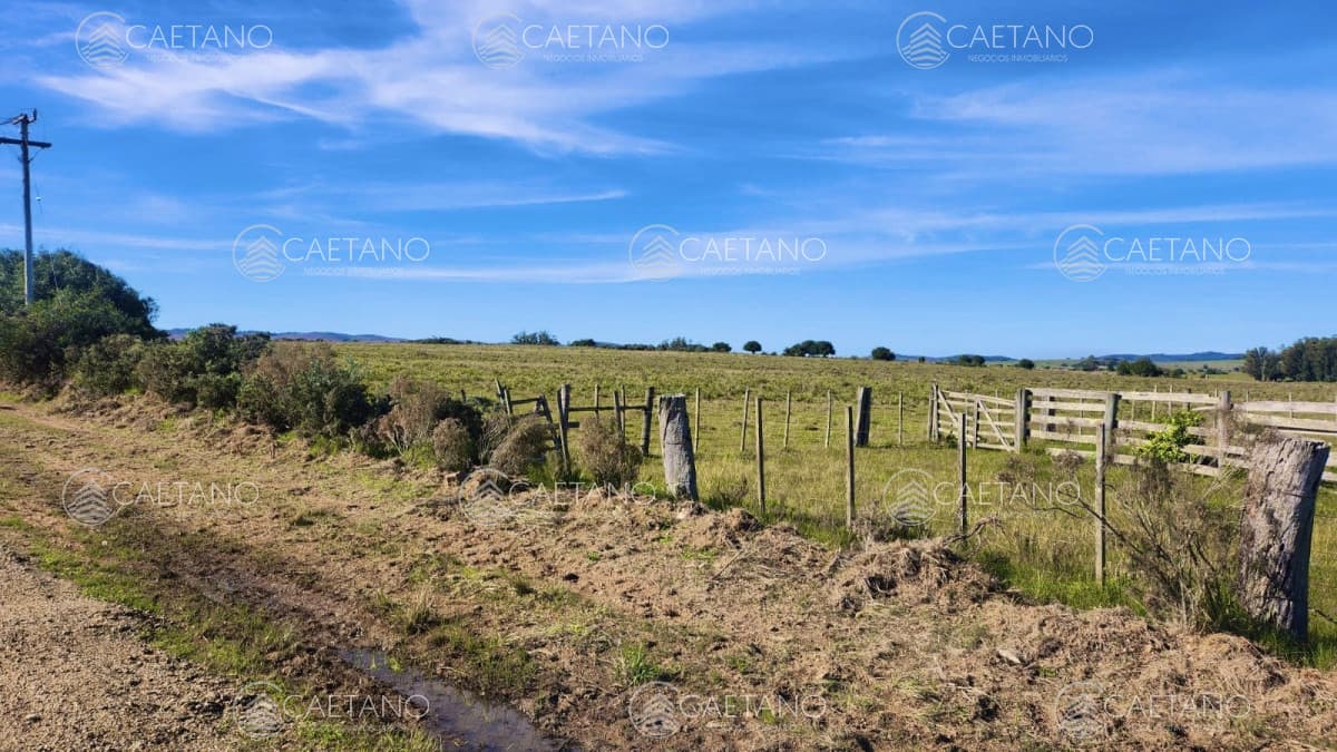 Venta chacras linderas 4has Pueblo Edén — foto 2