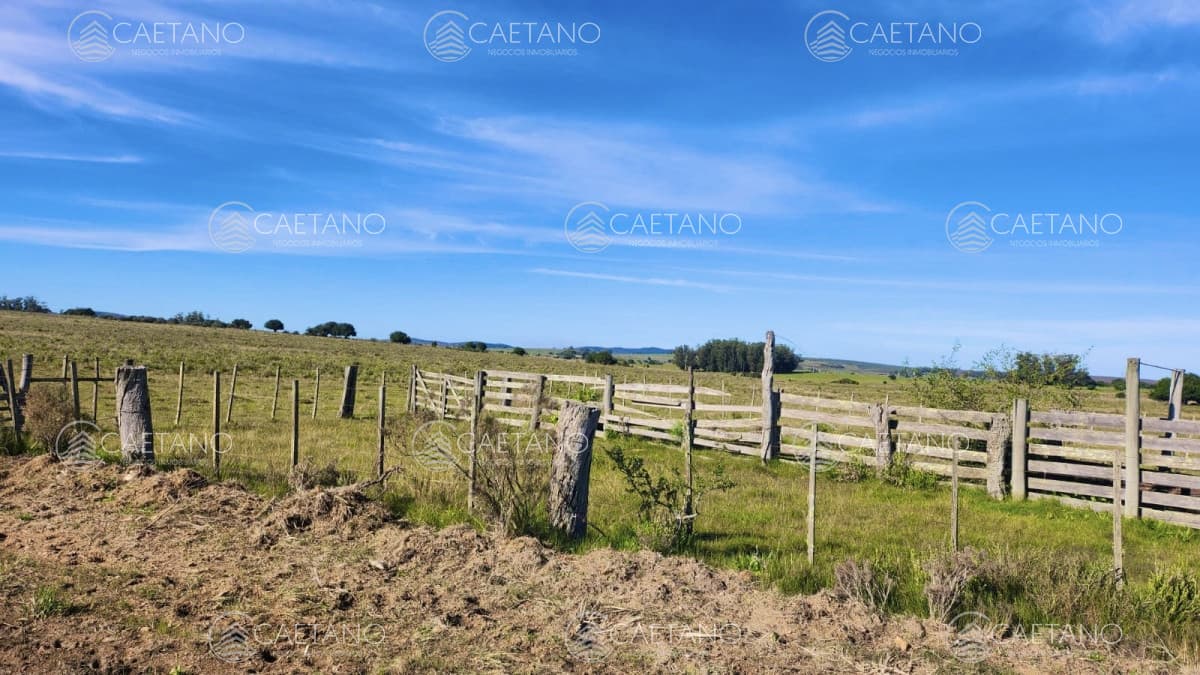 Venta chacras linderas 4has Pueblo Edén — foto 3