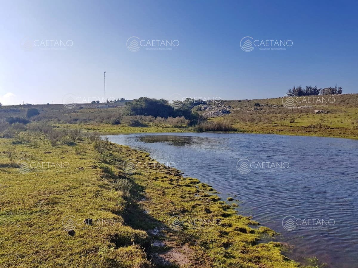 Vendo chacras en Ruta 9, entre ruta 12 y Pan de Azucar, Maldonado. FINANCIO. — foto 2