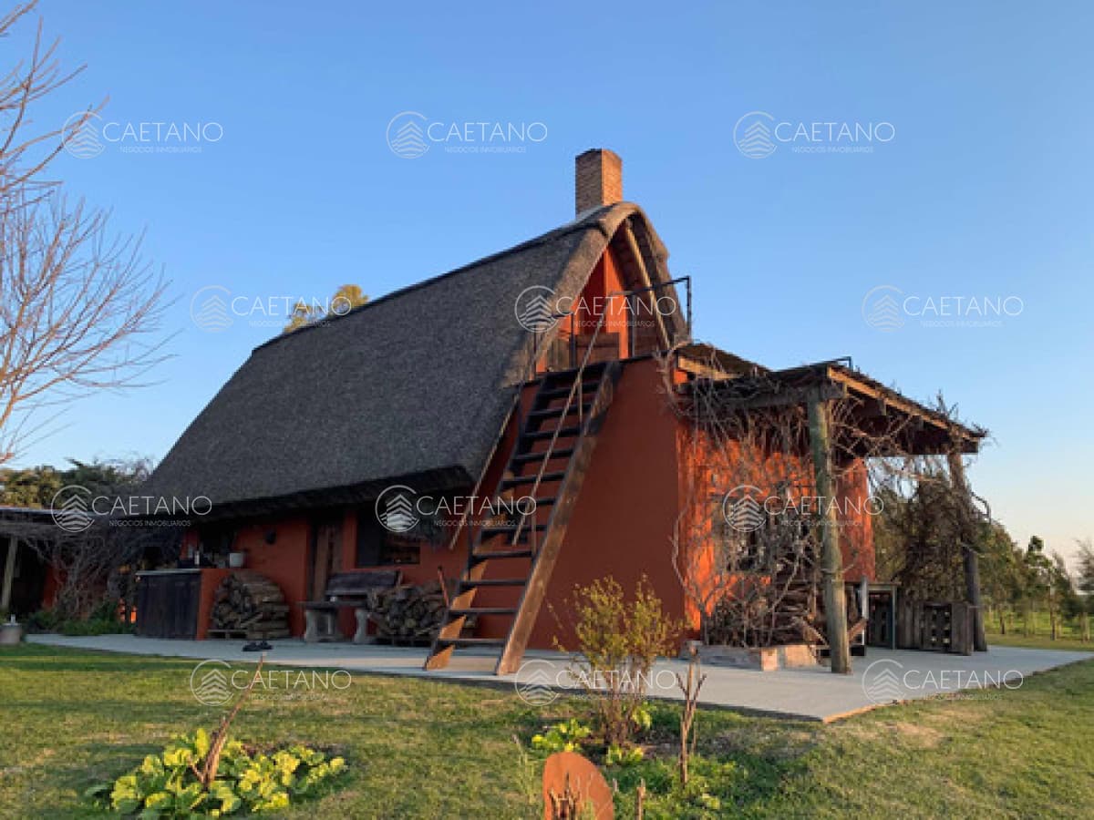 Venta Chacra 5 Hectáreas. Nueva Helvecia, Colonia