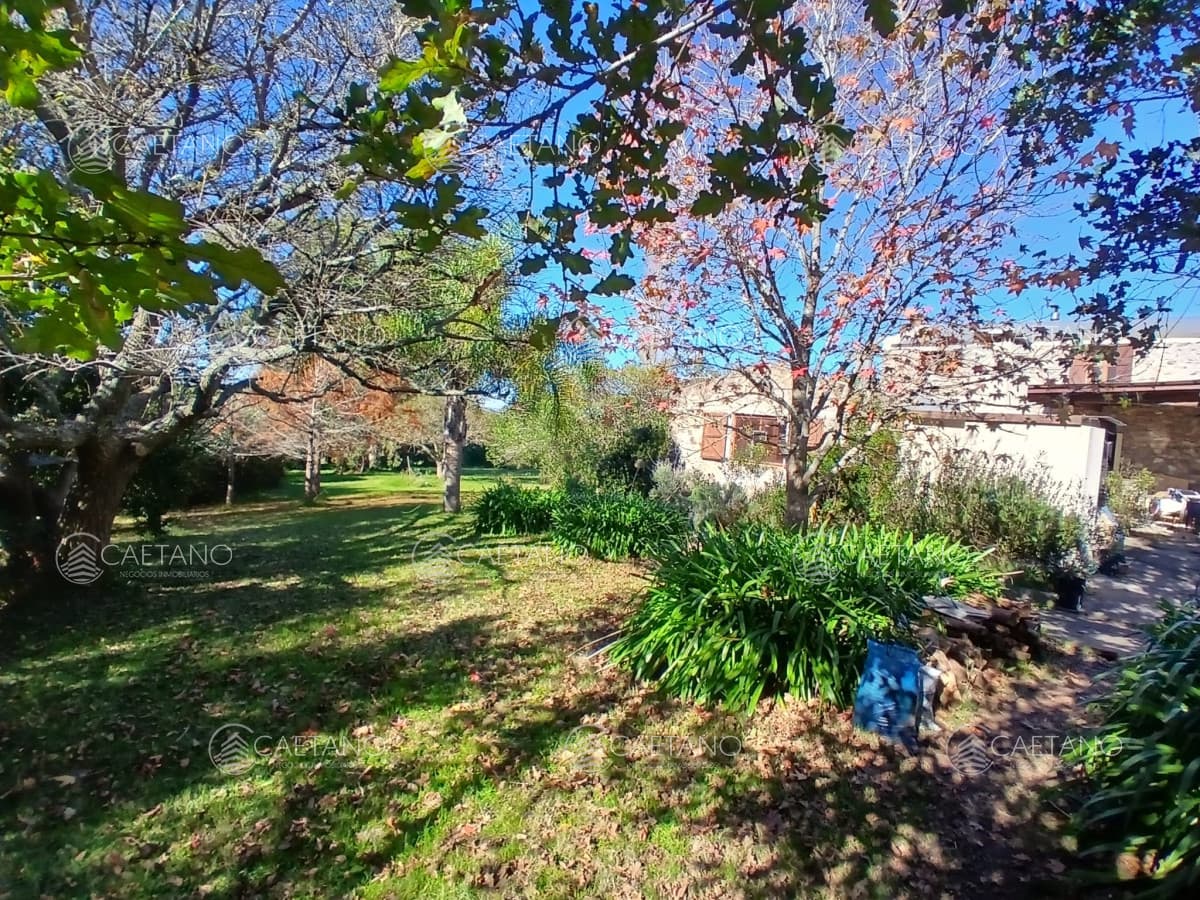 Chacra en venta en Pueblo Eden — foto 2