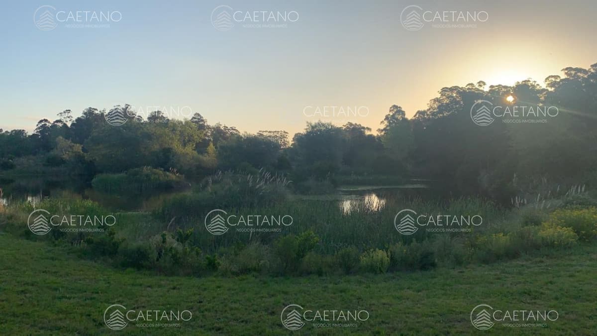 Venta chacra 10 hectáreas La barra, Maldonado